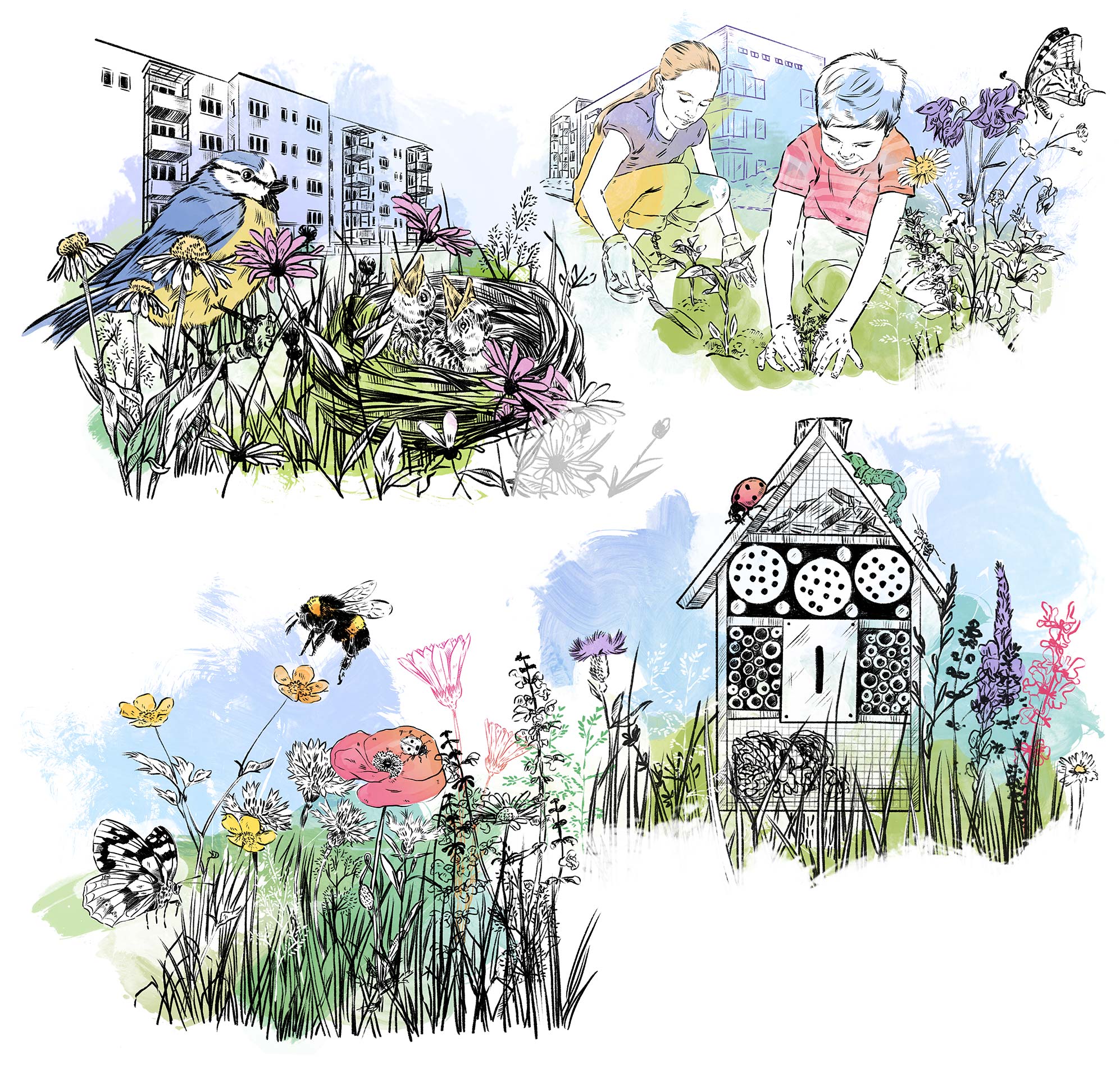 02_crenshaw_carina_sugah_illustration_illustratorin_illustrator_hamburg_berlin_zeichnung_drawing_editorial_grafik_graphics_design_editorialillustrationen_portrait_Gewobag_nachhaltigkeit