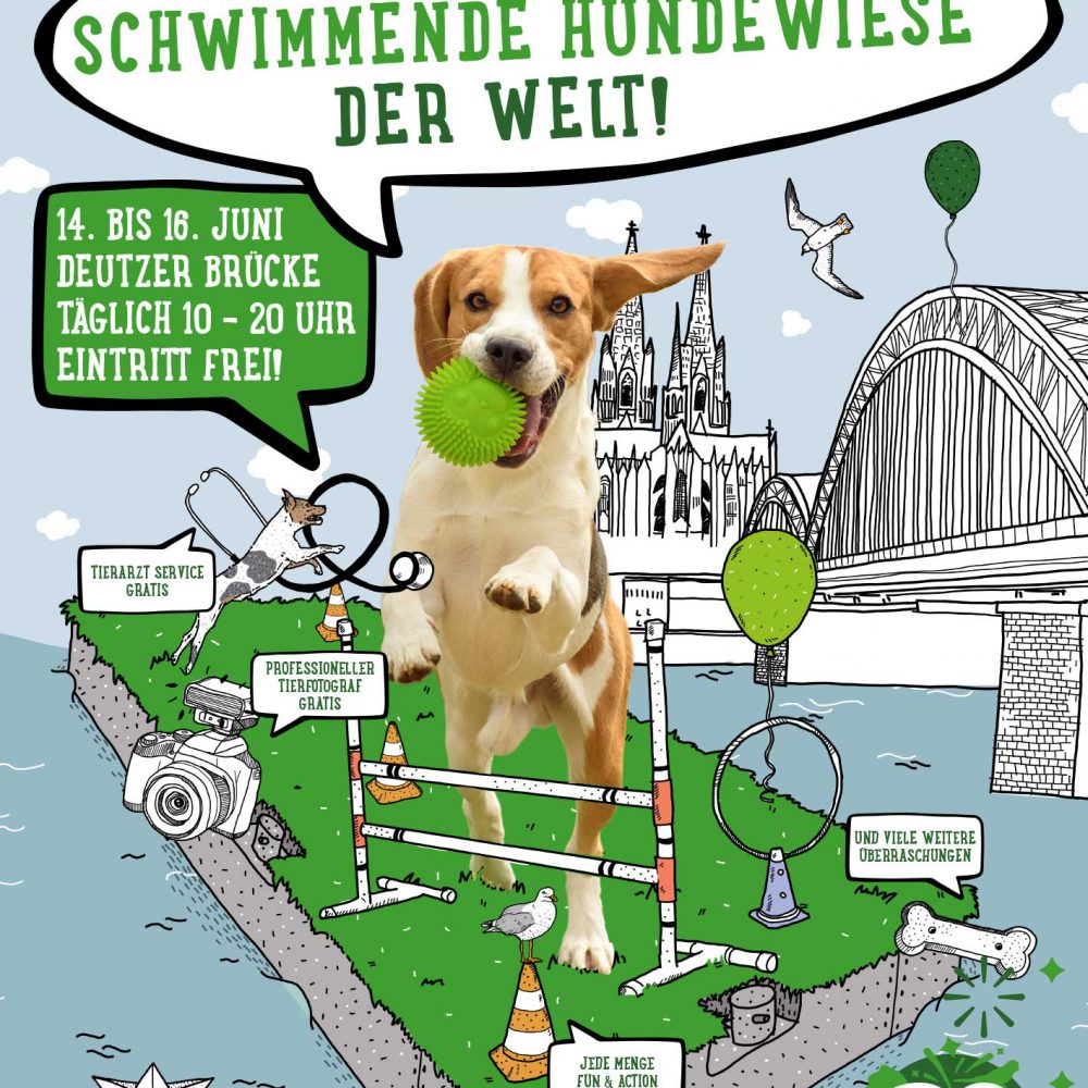 Zooplus – Illustrationen für Plakat