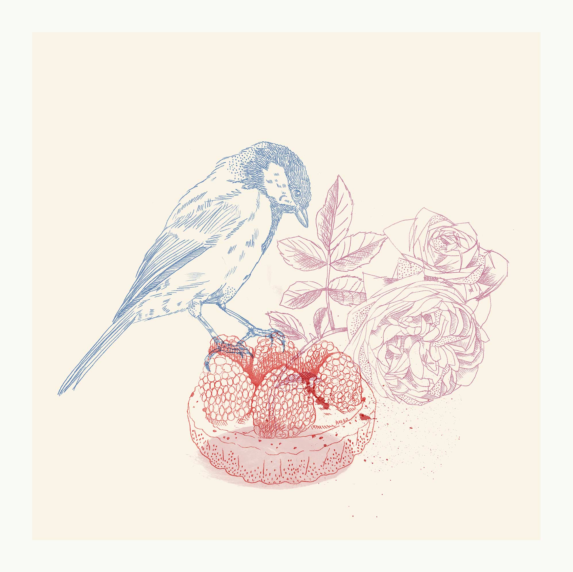 crenshaw_carina_sugah_illustration_stratorin_illustrator_hamilluburg_zeichnung_drawing_editorial_portrait_drawing_collage_birds_cake_01